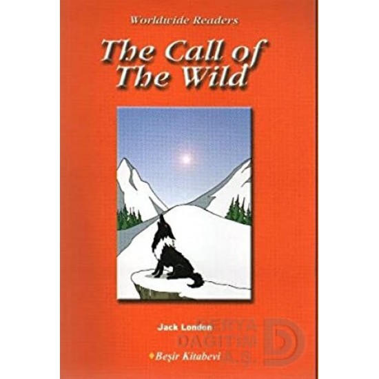 BEŞİR / LEVEL 4 THE CALL OF THE WILD