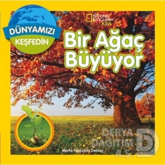 BETA KİDS / BİR AĞAÇ BÜYÜYOR - DÜNYAMIZI KEŞFEDİN