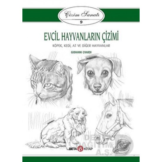 BETA / EVCİL HAYVANLARI ÇİZİMİ- ÇİZİMİ SANATI 9