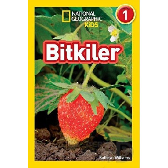 BETA KİDS / BİTKİLER - SEVİYE 1