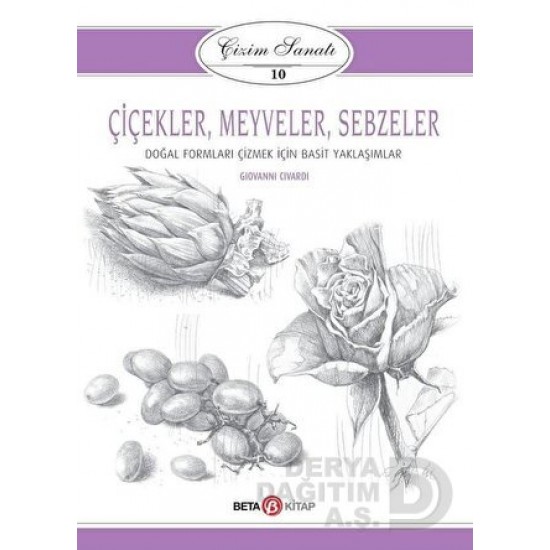 BETA / ÇİÇEKLER MEYVELER SEBZELER ÇİZİM SANATI 10