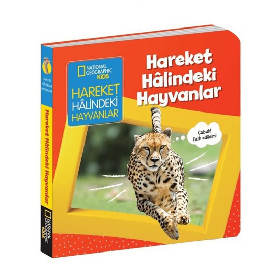 BETA / HAREKET HALİNDEKİ HAYVANLAR