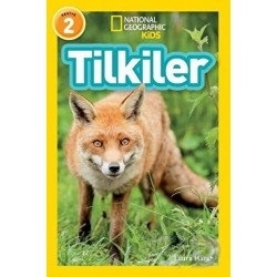BETA KİDS /  TİLKİLER