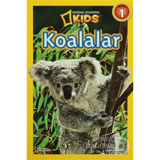 BETA KİDS / KOALALAR - SEVİYE 1