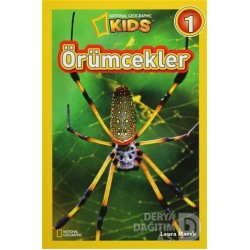 BETA KİDS / ÖRÜMCEKLER - SEVİYE 1