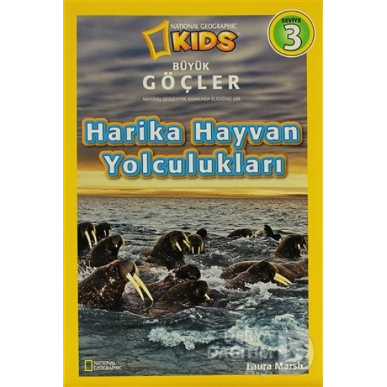 BETA KİDS / HARİKA HAYVAN YOLCULUKLARI - 3