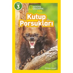 BETA NATIONALG / KUTUP PORSUKLARI - SEVİYE 3