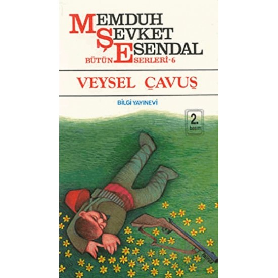 BİLGİ / VEYSEL ÇAVUŞ