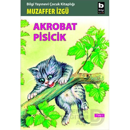 BİLGİ / AKROBAT PİSİCİK