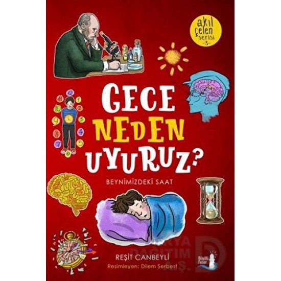 BÜYÜLÜ FENER / GECE NEDEN UYURUZ BÜYÜLÜ FENER / GECE NEDEN UYURUZ
