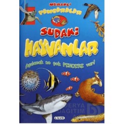 ÇİÇEK / MERAKLI PENCERELER D.SUDAKİ HAYVANLAR