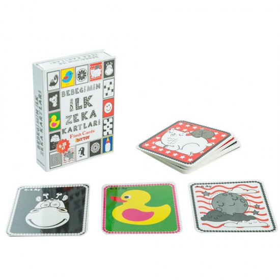 DIYTOY / FLASH CARDS BEBEĞİMİN İLK ZEKA KARTLARI