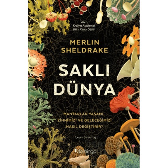 DOMİNGO / SAKLI DÜNYA DOMİNGO / SAKLI DÜNYA