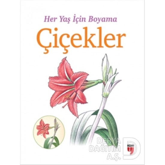 EDAM / HER YAŞ İÇİN BOYAMA - ÇİÇEKLER