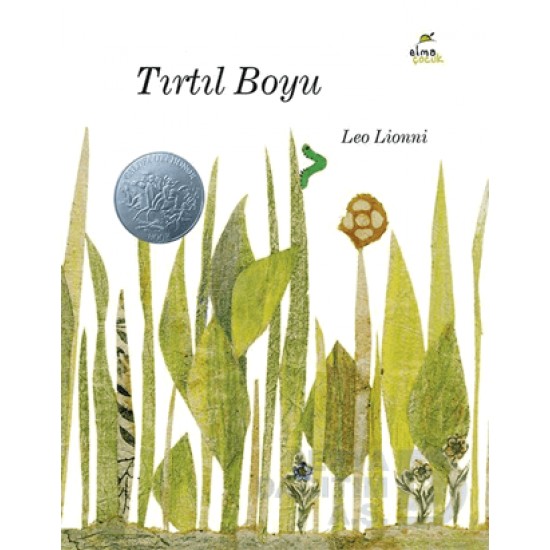 ELMA /  TIRTIL BOYU (KARTON KAPAK)