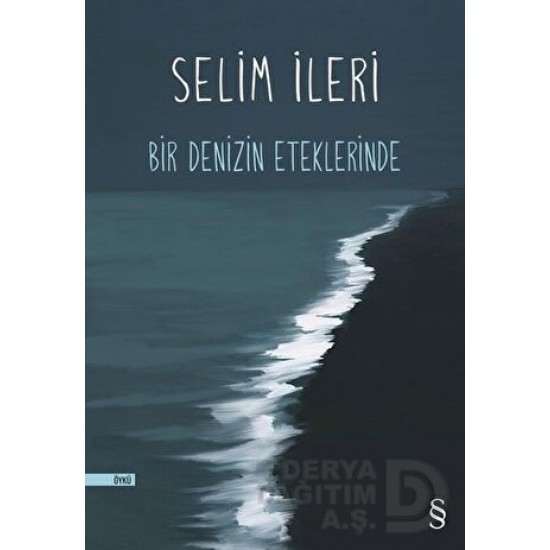 EVEREST / BİR DENİZİN ETEKLERİNDE EVEREST / BİR DENİZİN ETEKLERİNDE
