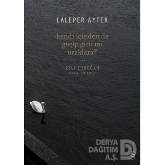 EVEREST / KENDİ İÇİNDEN DE GEÇİP GİTTİ Mİ UZAKLARA EVEREST / KENDİ İÇİNDEN DE GEÇİP GİTTİ Mİ UZAKLARA