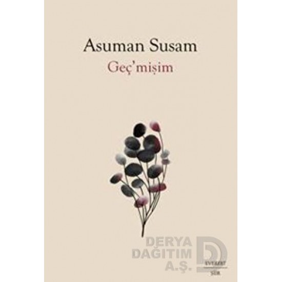 EVEREST /  GEÇMİŞİM
