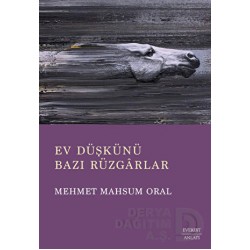 EVEREST / EV DÜŞKÜNÜ BAZI RÜZGARLAR