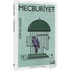 İNDİGO / MECBURİYET