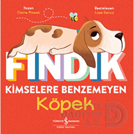 İŞBANKASI /  FINDIK KİMSELERE BENZEMEYEN KÖPEK
