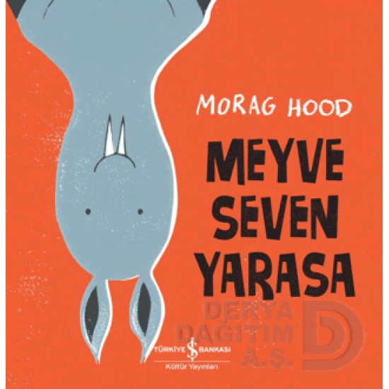 İŞBANKASI /  MEYVE SEVEN YARASA