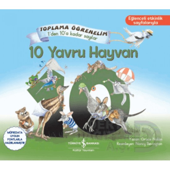 İŞBANKASI / 10 YAVRU HAYVAN