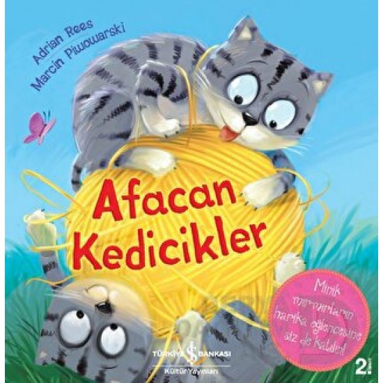 İŞBANKASI / AFACAN KEDİCİKLER