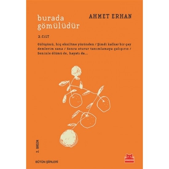KIRMIZI KEDİ / BURADA GÖMÜLÜDÜR 2 / AHMET ERHAN