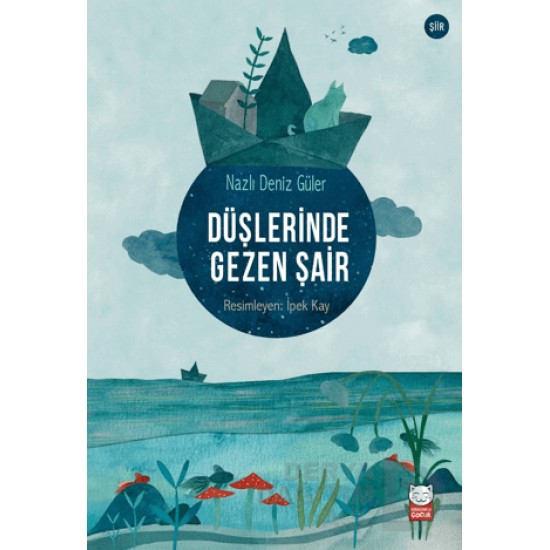 KIRMIZI KEDİ /  DÜŞLERİNDE GEZEN ŞAİR