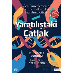 KOÇ / YARATILIŞTAKİ ÇATLAK