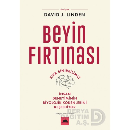 KOLEKTİF / BEYİN FIRTINASI