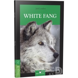 MK /  STAGE 3 -  A2 WHITE FANG