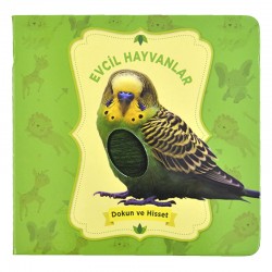 NURDAN /DOKUN VE HİSSET-EVCİL HAYVANLAR