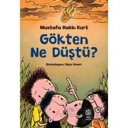 SİA / GÖKTEN NE DÜŞTÜ ?