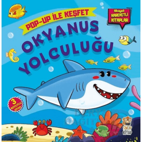 SİNCAP / OKYANUS YOLCULUĞU - POP-UP İLE KEŞFET