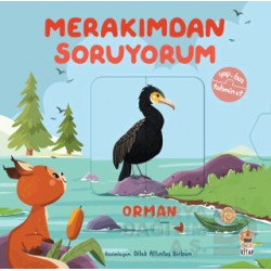 SİNCAP / MERAKIMDAN SORUYORUM - ORMAN