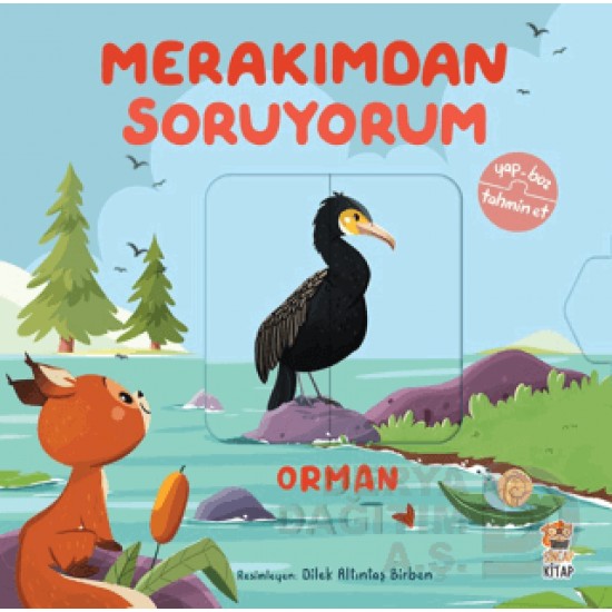SİNCAP / MERAKIMDAN SORUYORUM - ORMAN