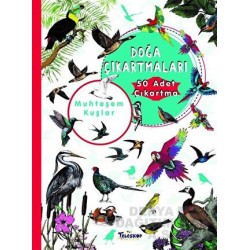 TELESKOP / DOĞA ÇIKARTMALARI - MUHTEŞEM KUŞLAR