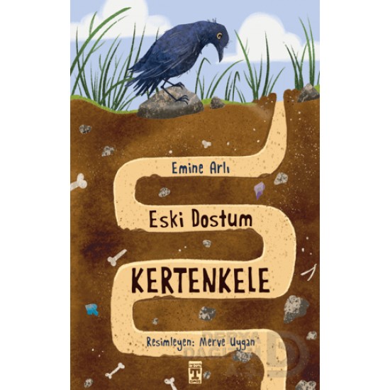 TİMAŞ / ESKİ DOSTUM KERTENKELE TİMAŞ / ESKİ DOSTUM KERTENKELE