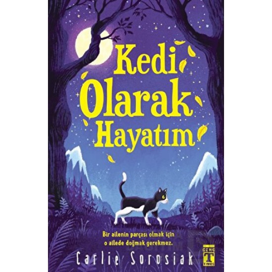 TİMAŞ  / KEDİ OLARAK HAYATIM