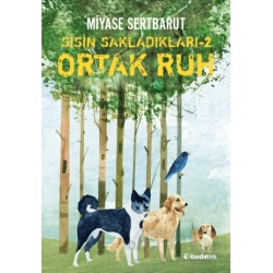 TUDEM /  SİSİN SAKLADIKLARI - 2 ORTAK RUH CİLTSİZ