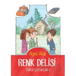 TUDEM  / RENK DELİSİ / AYTÜL AKAL
