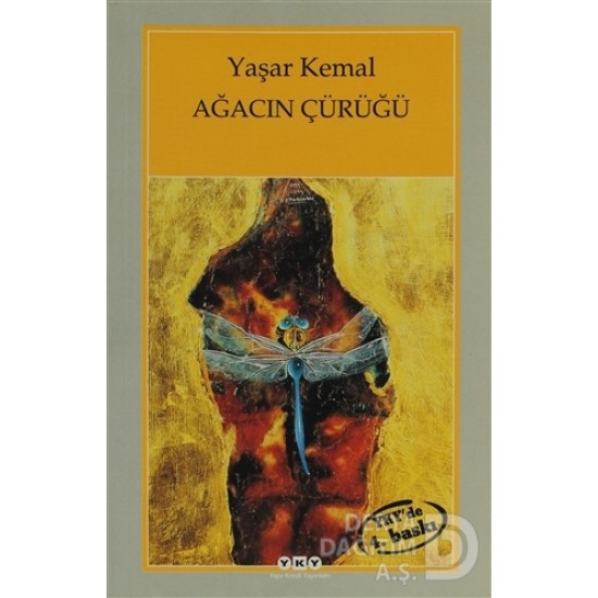 YKY / AĞACIN ÇÜRÜĞÜ