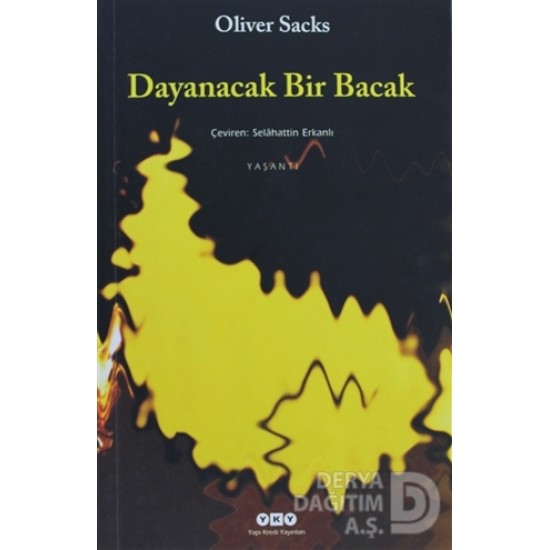 YKY / DAYANACAK BİR BACAK YKY / DAYANACAK BİR BACAK