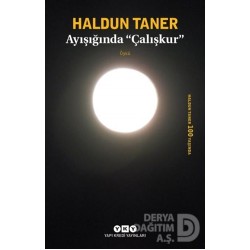 YKY / AYIŞIGINDA ÇALIŞKUR / HALDUN TANER
