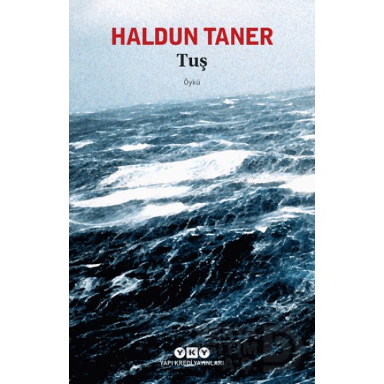 YKY / TUŞ / HALDUN TANER YKY / TUŞ / HALDUN TANER