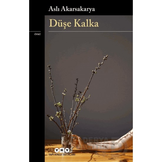 YKY / DÜŞE KALKA YKY / DÜŞE KALKA