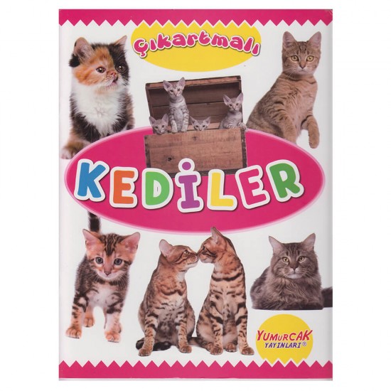 YUMURCAK / ÇIKARTMALI - KEDİLER