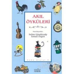 ZAFER YAY / AKIL ÖYKÜLERİ